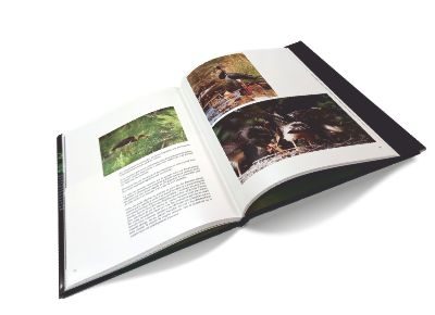 entete-livre-ouvert